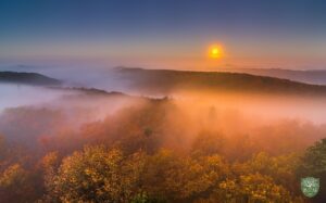 Bodennebel fotografieren